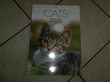 Wandkalender 2025 cats gebraucht kaufen  Vettelschoß