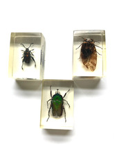 Set encased acrylic for sale  Fort Wayne