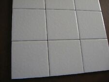 Unused dal tile for sale  Roy