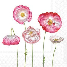 Servietten lunch 33x33cm gebraucht kaufen Servietten lunch 33x33cm gebraucht kaufen  Düsseldorf