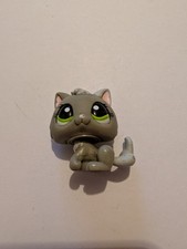 Authentic lps littlest for sale  DERBY
