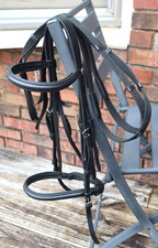 Henri rivel dressage for sale  Louisa