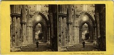 Tintern abbey north for sale  CHESTERFIELD