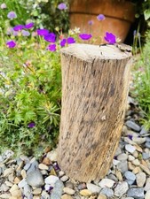 20cm driftwood log for sale  CLACTON-ON-SEA