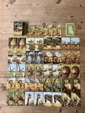 Pepys 1955 jungle for sale  HARPENDEN