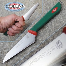 Sanelli coltello petty usato  Busto Arsizio