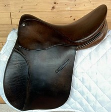Hayes english brown for sale Hayes english brown for sale  PONTYCLUN
