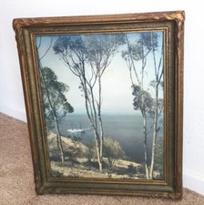 Vtg catalina island for sale  San Leandro