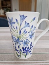 Roy kirkham agapanthus for sale  GLASGOW