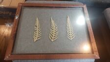 Pre owned tropical for sale  USA
