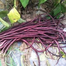 Purple red yard for sale  El Monte