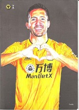 2019 wolves programmes for sale  RINGWOOD