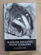 Badger digging terriers for sale  BRIDGEND