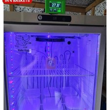 Reptile egg incubator for sale  CULLOMPTON
