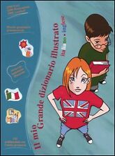 Mio grande dizionario usato  Torino