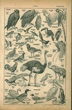 Antique board document d'occasion  Expédié en Belgium