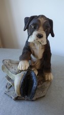 boxer puppies for sale  EGHAM