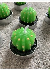 Cactus candles home for sale  ISLE OF BUTE