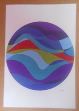 Roberto crippa fotolitografia usato  Cirie
