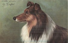 Illustree portrait chien d'occasion  Vasles