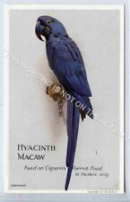 Capern bird seed for sale  WITHERNSEA
