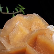 Outstanding inch orange for sale  Tucson