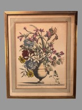 Vintage floral botanical for sale  Elmira