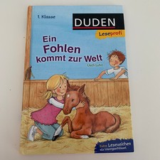 lesebuch 1 klasse gebraucht kaufen lesebuch 1 klasse gebraucht kaufen Eckartsberga