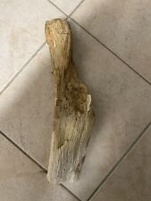 Treibholz schwemmholz driftwoo gebraucht kaufen  Thierhaupten