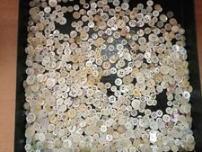 Lotto bottoni madreperla usato  Cagliari