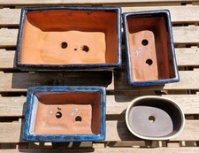 Vasi per bonsai usato  Bari