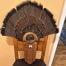 Turkey fan mount for sale  Fort Smith