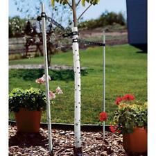 Scented spiral tree for sale  Kempton