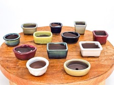 Bonsaischale mame set gebraucht kaufen  Berlin