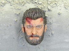 Brinquedo escala 1/6 X-Men Logan Wolverine aço lobo sangue manchado cabeça masculina esculpida, usado comprar usado  Enviando para Brazil