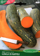 Semi seeds zucca usato  Morra de Sanctis
