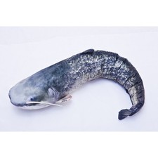 Coussin peluche poisson d'occasion Coussin peluche poisson d'occasion  Boulogne-sur-Mer