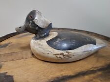 Antique buffle head for sale  Willard