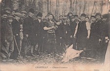 Chantilly chasse courre d'occasion  France
