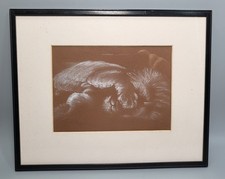 Pastel lion african for sale  GLENROTHES
