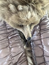 Vintage double mink for sale  COWDENBEATH