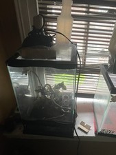 Gallon lizard tank for sale  Wyncote
