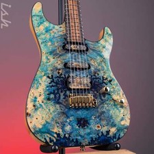 2023 schecter custom d'occasion  Expédié en Belgium