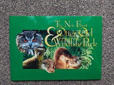 Otter owl wildlife for sale  MAIDENHEAD