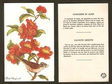 Calvet rogniat carte d'occasion  Buxerolles