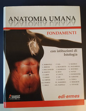 Anatomia umana. fondamenti. usato  Messina