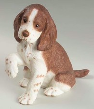 Lenox english springer for sale  Holly Springs