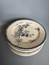 Assiettes faïence groseilles d'occasion  Septèmes-les-Vallons