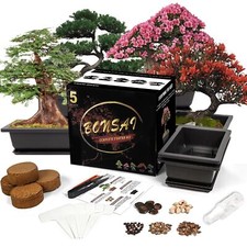 Sproutix bonsai starter for sale  Mesa