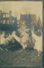 1916 original photo for sale  ROSSENDALE